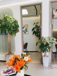 点击看大图 -联合丽格·张菡丽格医疗美容