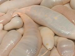 -老虎滩船说·海胆水饺·大连海鲜(老虎滩店)
