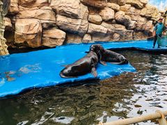 -华夏文旅海洋公园