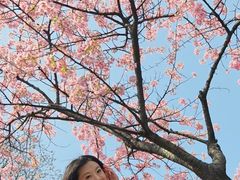 -上海植物园-4号门售票处