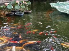 -白家大院·王府宫廷菜(苏州街店)