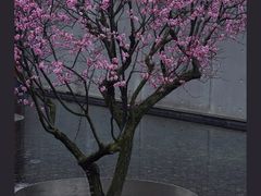 -静安雕塑公园