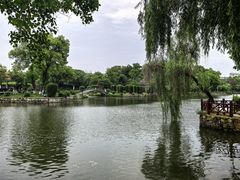 -雨湖公园