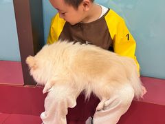-和它·交个朋友·狗咖猫咖(爱琴海店)
