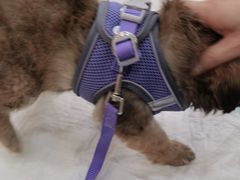 -贝康宠物医院·犬猫全科·小动物特色诊疗中心(东环路店)
