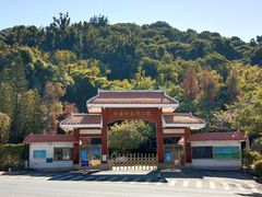 -天鹿湖森林公园