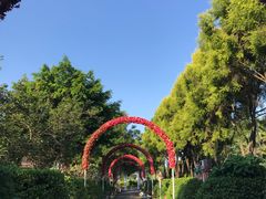 -广东花都香草世界旅游度假区
