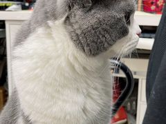 -方快-照相馆(莘庄沁春路店)