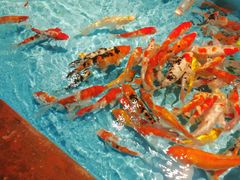 -常州海昌海洋探索馆