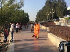 -宝安西湾红树林湿地公园