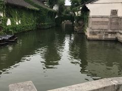 -鲁镇
