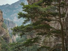 -雁荡山风景名胜区