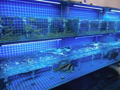 水产区-吉源大排档·鱼生·海鲜(烧烤彩印厂店)