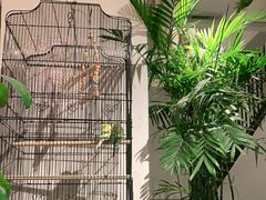 -瓦舍茶馆(聚源路店)