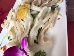 -大酒缸(高碑店文化新大街店)