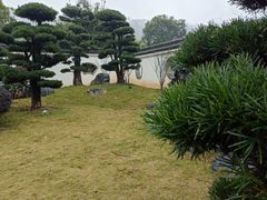 -柳侯公园