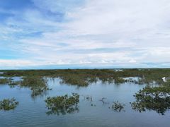 -北海金海湾红树林生态旅游区
