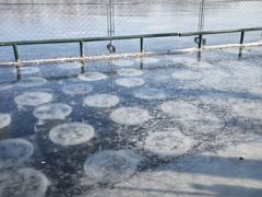 -什刹海