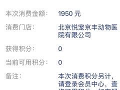 -悦宠动物医院(京丰分院)
