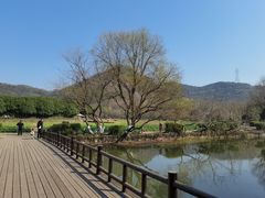 -八卦田遗址公园
