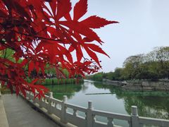 -东水关遗址公园