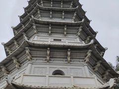 -深圳国际园林花卉博览园