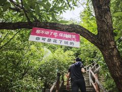 -南阳龙潭沟