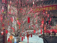 -顺德了能馆(虎门店)