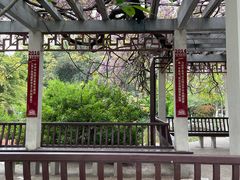-郑和公园
