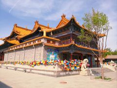 -大召无量寺