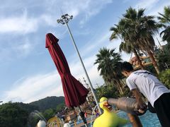 -重庆海昌加勒比海水世界