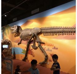 点击看大图 -北京科学中心儿童乐园