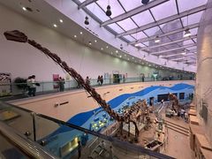 -陕西自然博物馆