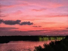 -东郊湿地公园