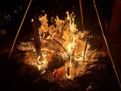 -盘龙城国家考古遗址公园