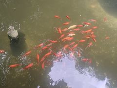 -安溪清水岩