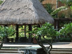 -三亚湾海居雅高铂尔曼度假酒店