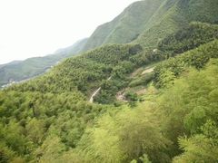 -宁波浙东大竹海景区