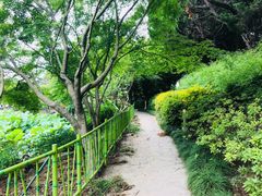 -嘉定紫藤园