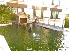 -行者书屋大堂吧 ·下午茶(南京圣和府邸酒店)