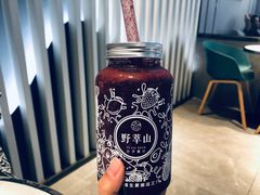 -野萃山·潮汕厚果汁(十亩地店)