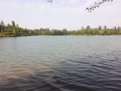 -香山公园