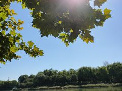 -大兴滨河森林公园