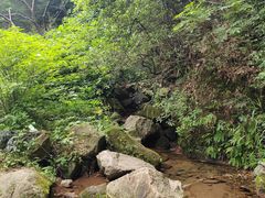 -莫干山风景区