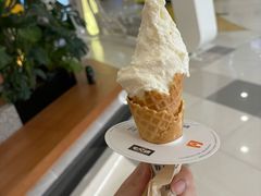-野人先生Gelato(上海长宁龙之梦店)
