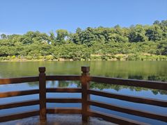 -洋湖国家湿地公园