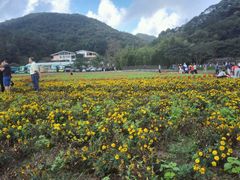 -广州市石门国家森林公园