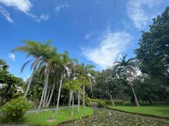 -中国科学院西双版纳热带植物园