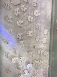 -AI艾耳·专业手工耳洞·穿孔美学馆