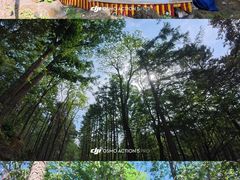 -洛阳白云山景区